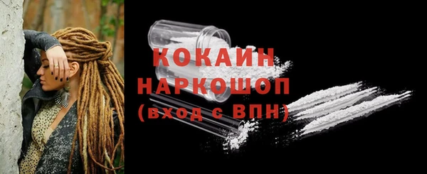 СК Сосновка