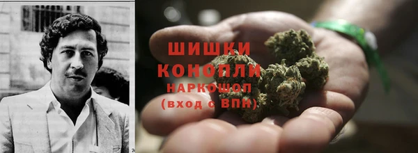 СК Богородицк