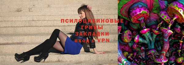 ешки Богданович