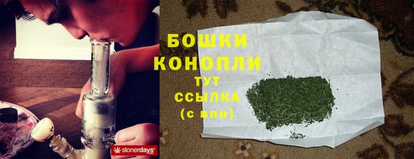 spice Богородск