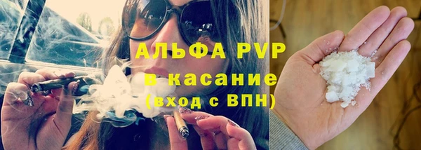 spice Богородск