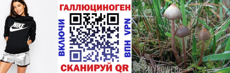 Галлюциногенные грибы Cubensis  продажа наркотиков  гидра ТОР  Макаров 